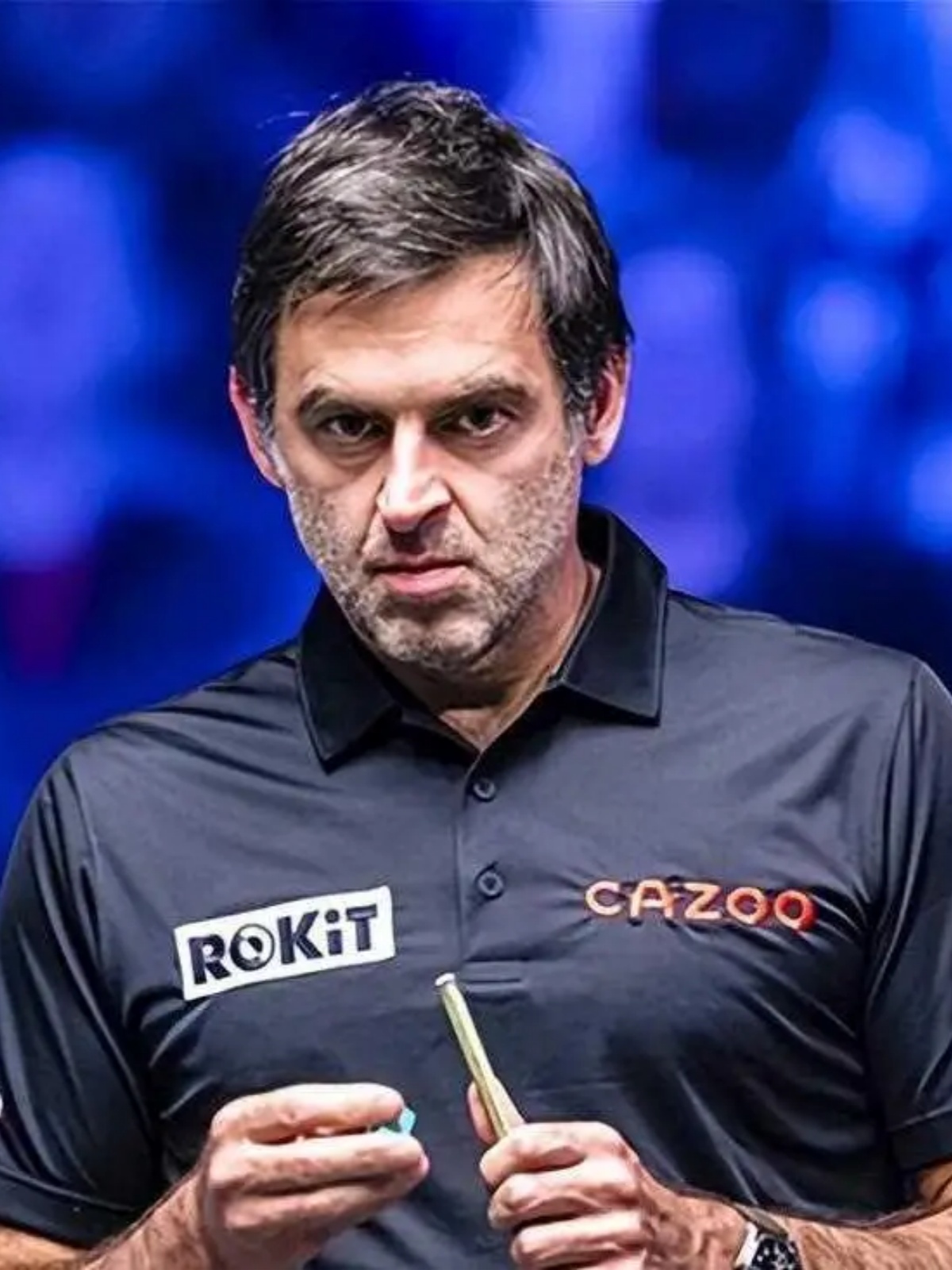 不仅展示了 不仅展示了